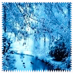 Зимние картинки, аватары. Снег, зима, Новый год. Image_11812120750347175603