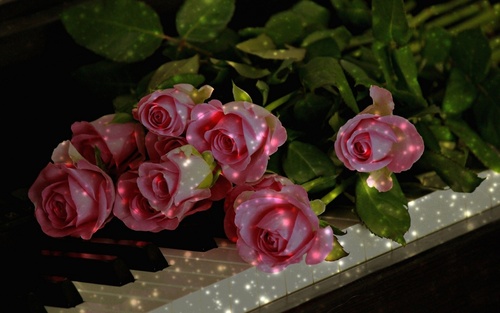 Обои Букет розовых роз на клавишах фортепиано