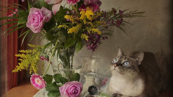 Обои Кошка лежит на столике у вазы с цветами