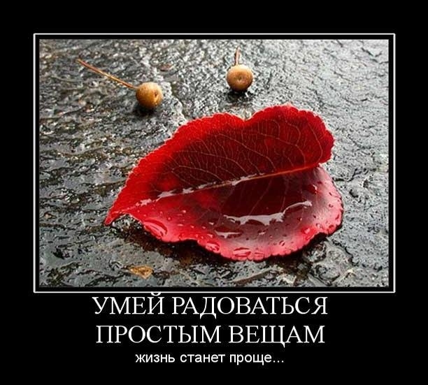 Статусы стала проще Статусы стала проще