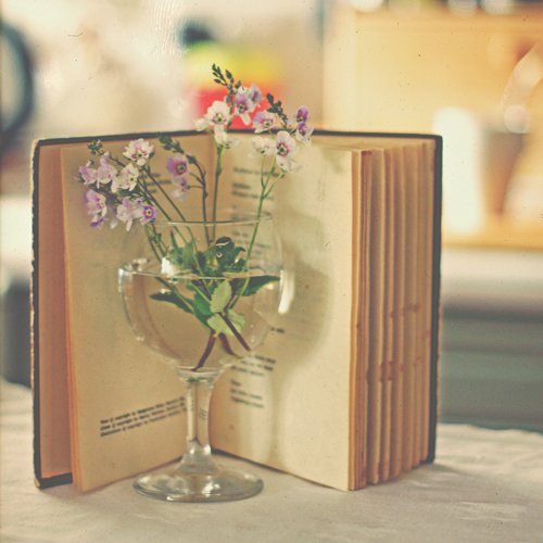 Фото Раскрытая книга и крохотные цветочки