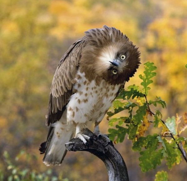 Посмеялся сам - поделись с другом!!!