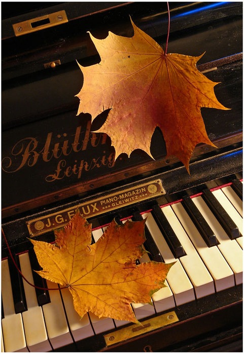 Фото Опавшие желтые листья на фортепиано