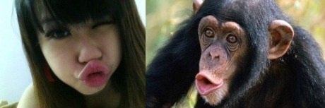 Порно с обезьянами