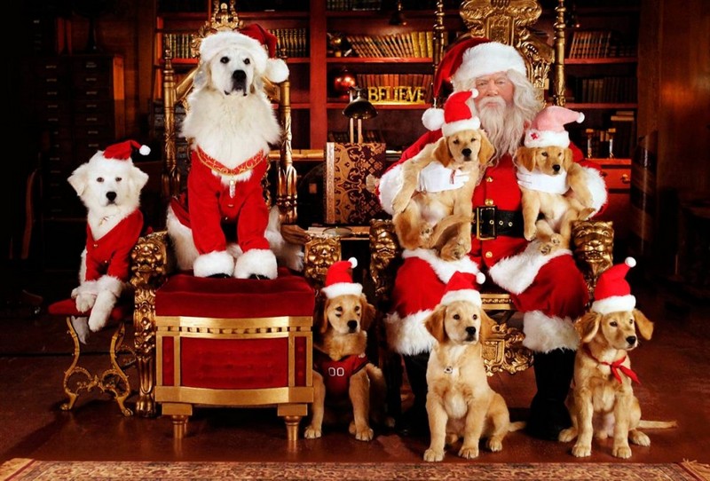 Watch My Dog`S Christmas Miracle HD 1080P