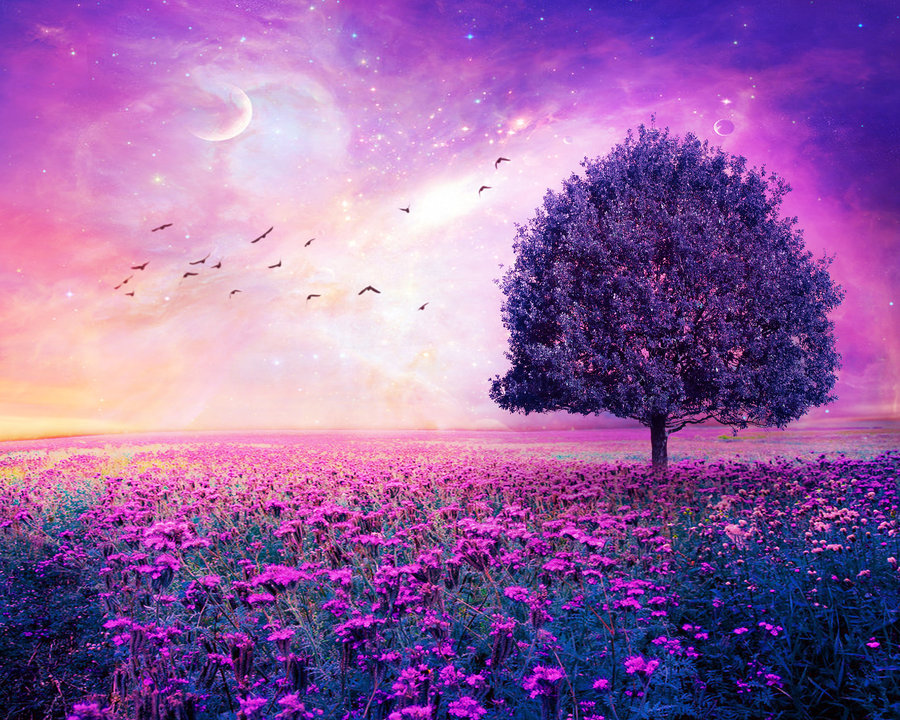 secret photos of stars цветы №79183 secret photos of stars цветы № 79182