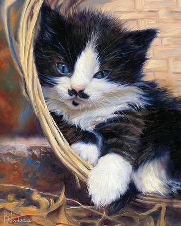 🖼