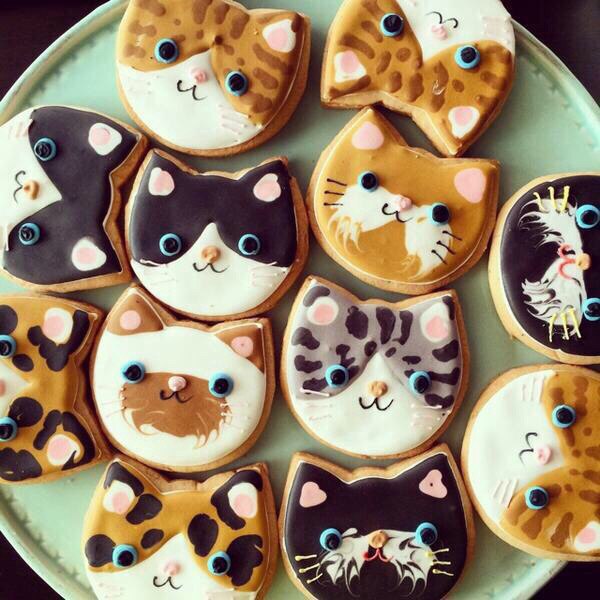 Как нарисовать кота в печеньке Как нарисовать кота в печеньке