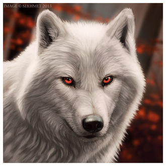 Bildergebnis für weißer wolf mit roten augen