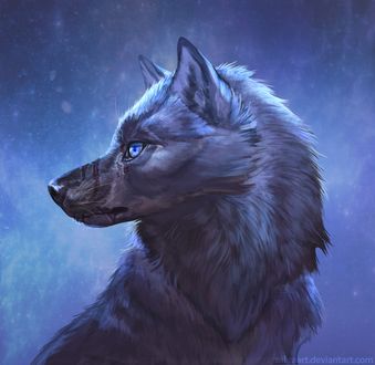 Фото Голубоглазый серый волк, by ZakraArt