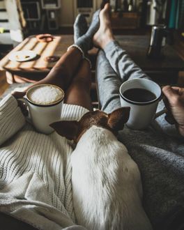 Фото Пес лежит между парнем и девушкой, которые держат в руках чашки с кофе