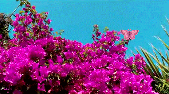 http://99px.ru/sstorage/86/2015/04/image_862604150844056391759.gif