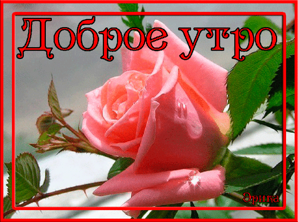 http://99px.ru/sstorage/86/2015/06/image_862606151341231005553.gif