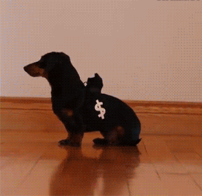 image_862304160650523802733.gif