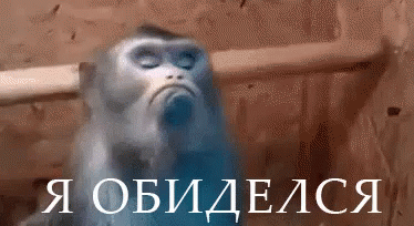 image_862508171238098090497.gif