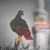 99px.ru аватар летим со мной