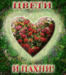 Аватар Цвети и пахни! серце