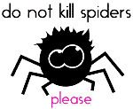 Аватар Паучёк - do not kill spiders please