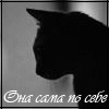 Аватар Она сама по себе..Она со всеми и ни с кем...кошка