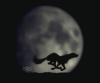 99px.ru аватар Волк бежит на фоне большой луны