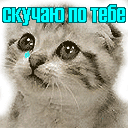 Аватар Скучаю по тебе ) Котенок плачет голубыми слезами