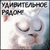 99px.ru аватар удивительное рядом