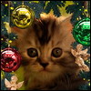 Аватар Котеночек в Новый Год под елкой
