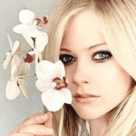 99px.ru аватар Avril Lavigne