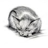 99px.ru аватар Милый спящий котенок