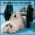 Аватар спортсмен физкультпривет