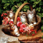Аватар котята