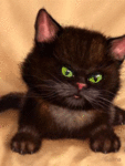 Аватар Злобный котик