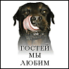 Аватар Гостей мы не любим!Ротвеллер