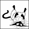 Аватар Котяра