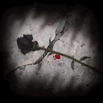 99px.ru аватар Роза с кровью