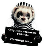 Аватар отпустите пораньше с работы...пятница же енот