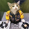 99px.ru аватар Кот - DJ