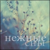 Аватар Нежные сны