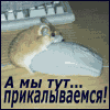 99px.ru аватар мышь прикалывается