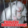 Аватар Свободу хоме