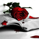 Аватар Роза на книге