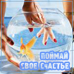 99px.ru аватар Поймай свое счастье)