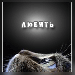Аватар Любить совбоду,быть счастливой вопреки всему