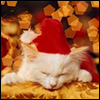 99px.ru аватар Новогодний КОТ))