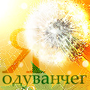 Аватар Я не одуванчик