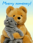 99px.ru аватар моему котенку