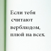 Аватар Если тебя считают верблюдом-плюй на всех