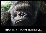 99px.ru аватар Вторник