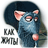 Аватар как жить? из Мультика Рататуй, крыса