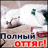 Аватар полный оттяг,кошка накурилась и напилась